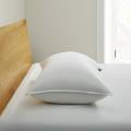 Serta Back-Sleeper White Goose Feather & Down Fiber Pillow, king, Single SE229302